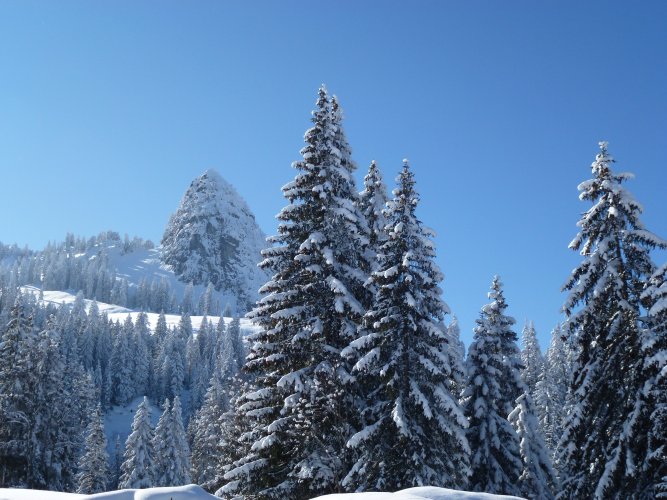 Winter Ybergeregg